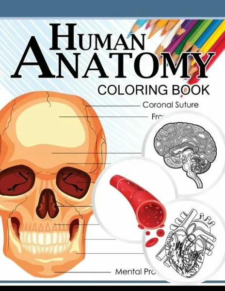 Human anatomy coloring book anatomy physiology coloring book rd edtion