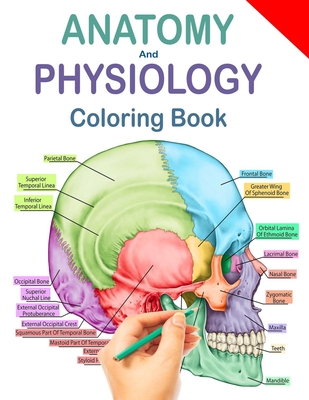 Anatomy and physiology coloring book human anatomy coloring book workbook updated edition paperback river bend bookshop llc