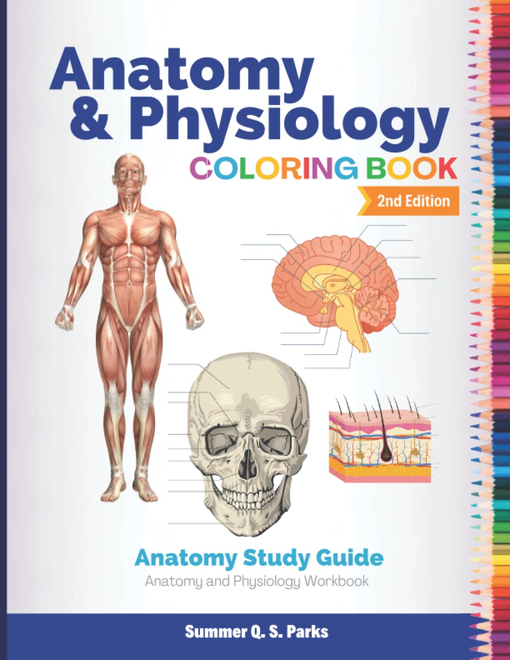 Anaty and physiology coloring book anaty study an