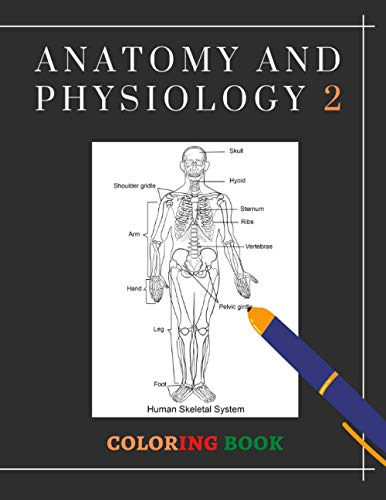 Anatomy and physiology coloring book instructive guide to the human body worksheet anatomy and physiology coloring books