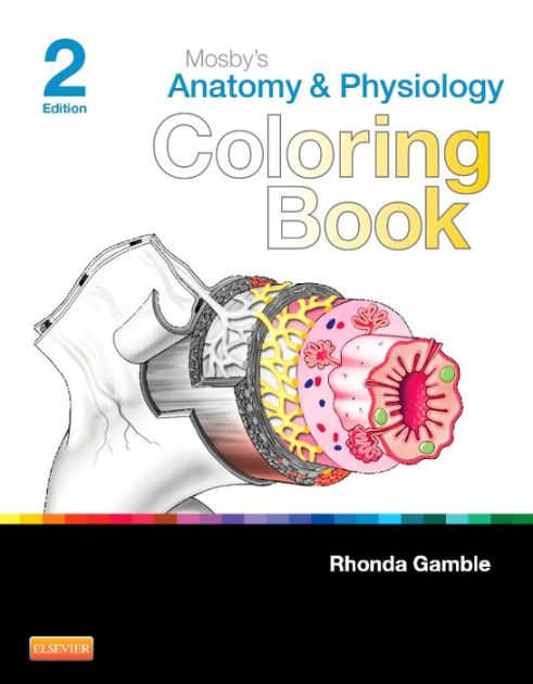 Mosbys anatomy and physiology coloring book by mosby paperback barnes noble