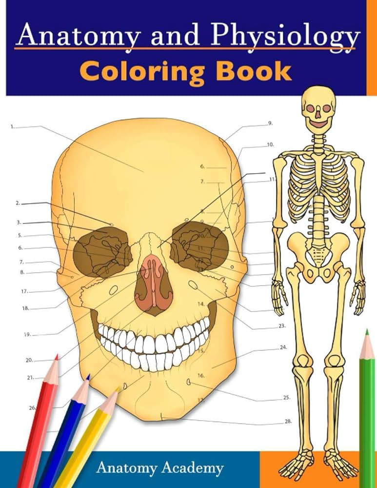 Anatomy and physiology loring book incredibly detailed self