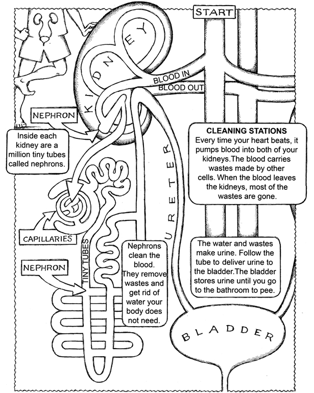 Wele to dover publications