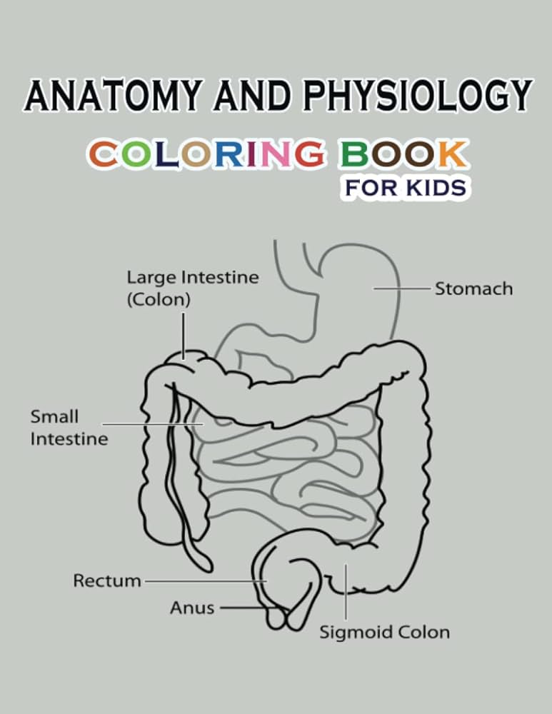 Anatomy and physiology coloring book for kids by wokie dam