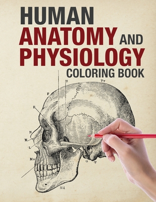 Human anatomy and physiology coloring book skeletal nervous muscular respiratory cardiovascularcirculatory urinary integumentary reproductive paperback one more page