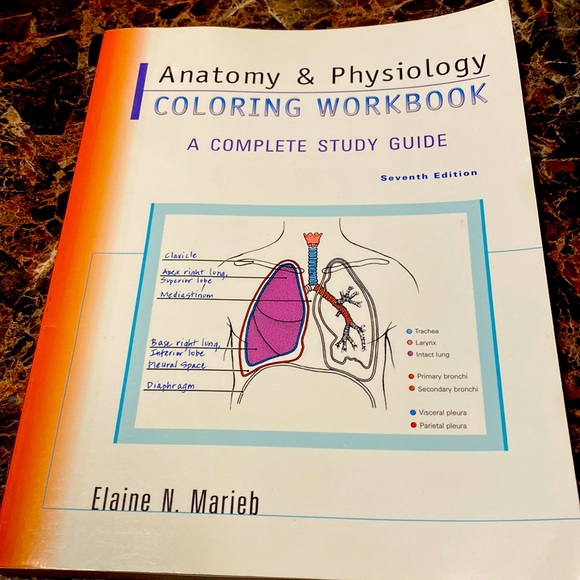 Anatomy physiology work book office anatomy physiology coloring workbook a plete study guide th edition