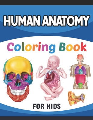 Human anatomy coloring book for kids collection of simple illustrations of human body parts human anatomy and human body physiology coloring book g paperback bookpeople of moscow