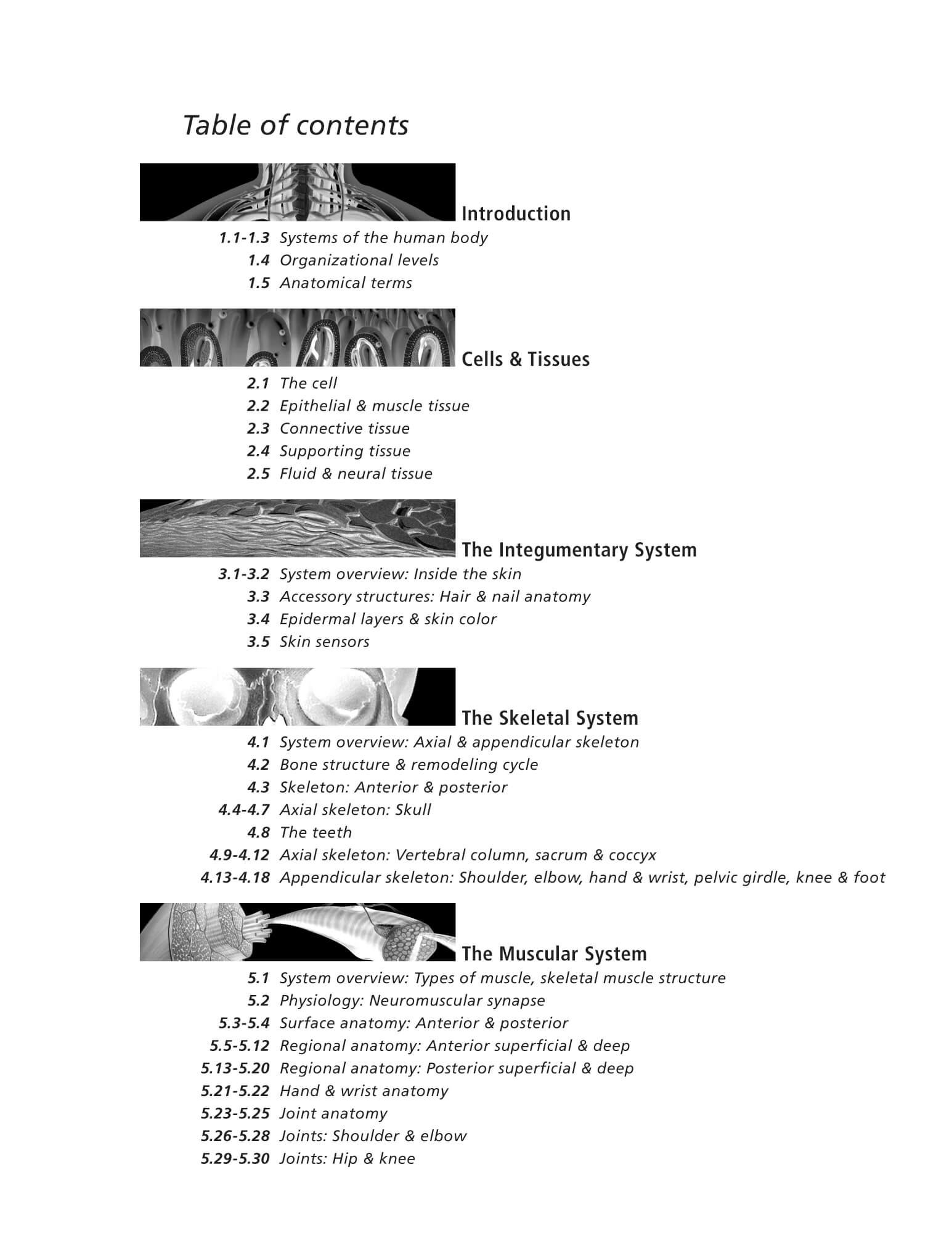 Anatomy physiology coloring book scientific publishing anatomy physiology coloring book anatomy physiology coloring book anatomy physiology coloring book