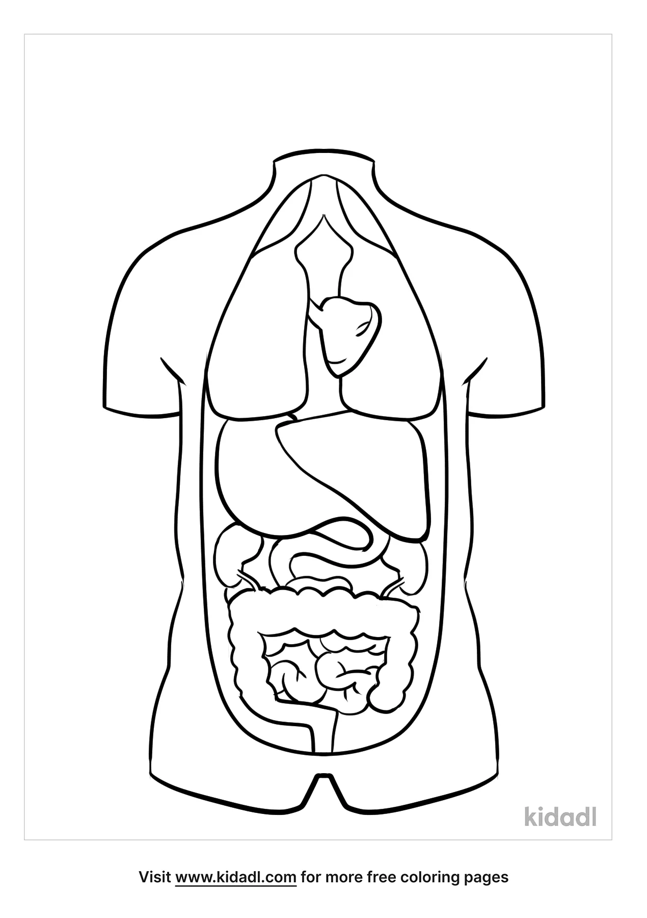 Free anatomy coloring page coloring page printables