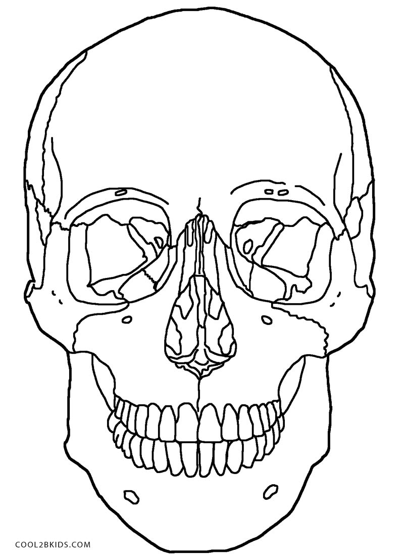 Printable skulls coloring pages for kids