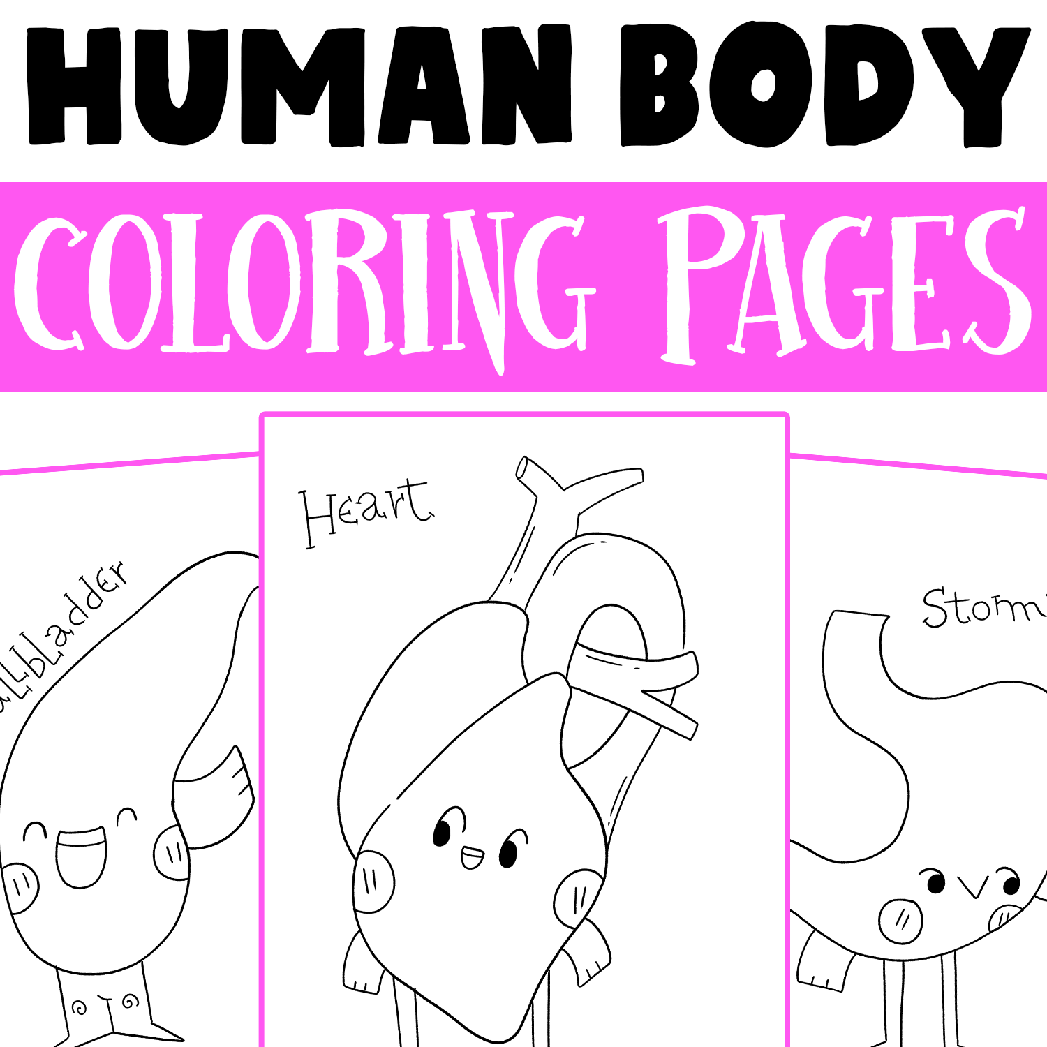 Human body systems coloring pages human anatomy coloring sheets for kids made by teachers