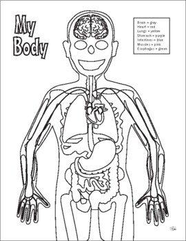 Basic anatomy coloring page by our time to learn tpt