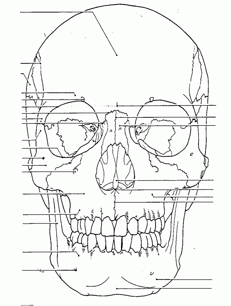 Coloring pages free anatomy coloring pages for kids