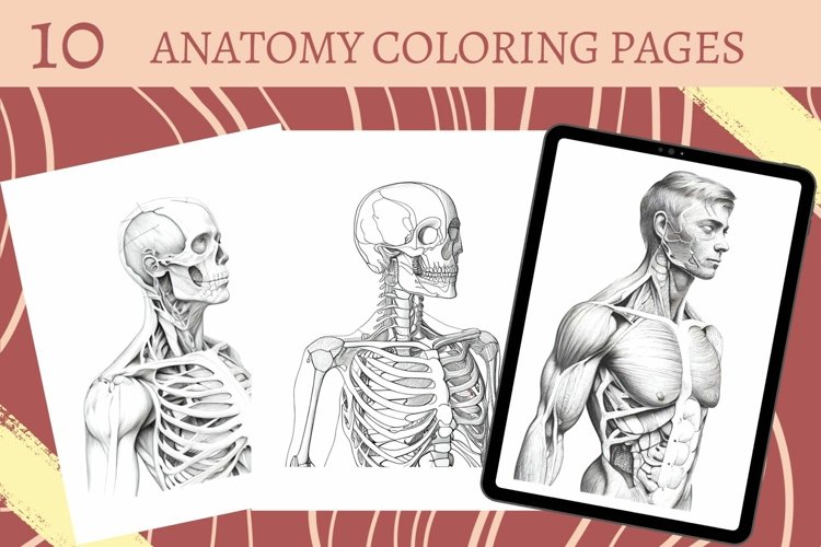 Anatomy coloring pages