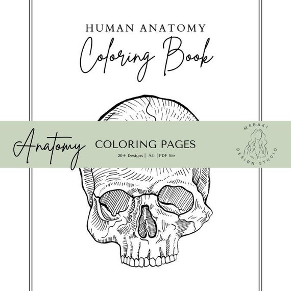 Anatomy coloring pages printable coloring book coloring pages bundle human anatomy study pages