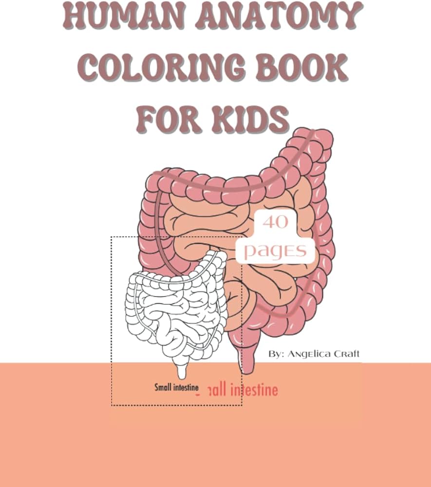 Human anatomy coloring book for kids anatomy and physiology coloring pages for students fun coloring activities for teachers or home schooling parents to use in their classrooms craft angelica