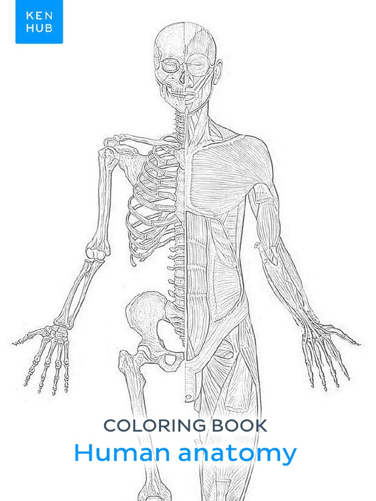 Human anatomy colori ng book pdf