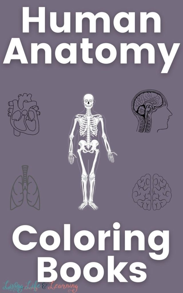 Human anatomy coloring book free homeschool deals