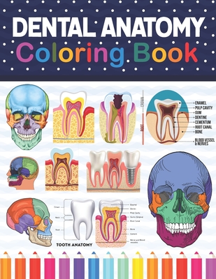 Dental anatomy coloring book dental anatomy coloring book for kids dental teeth anatomy coloring pages for kids toddlers teens human body anatom paperback blue willow bookshop west houstons neighborhood book shop