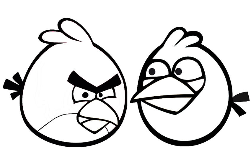 Angry birds coloring pages overview with crazy cool birds