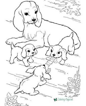 Animal coloring pages