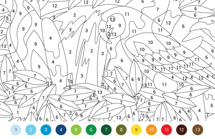 Animals louring by numbers free pattern download