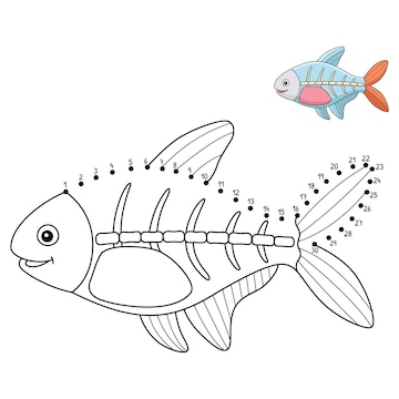 Premium vector dot to dot xray fish animal isolated coloring