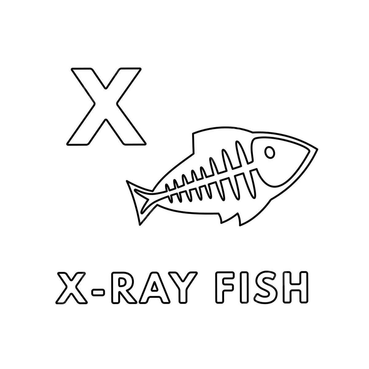 Coloring pages of cute cartoon animals in alphabetical order featuring xray fish as vectors vector smart print typography png and vector with transparent background for free download