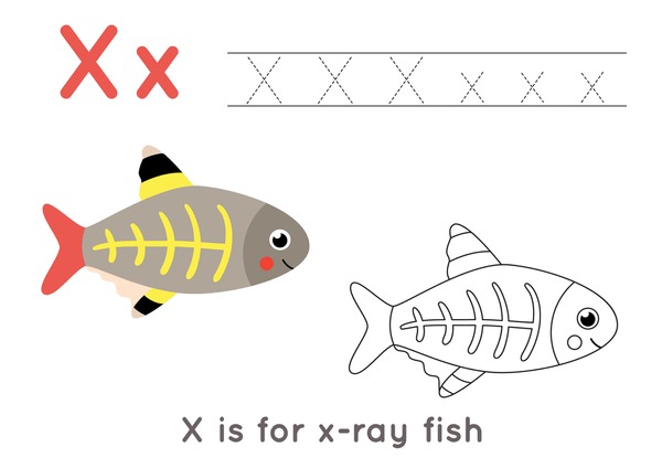 Hundred cute x ray fish cartoon royalty