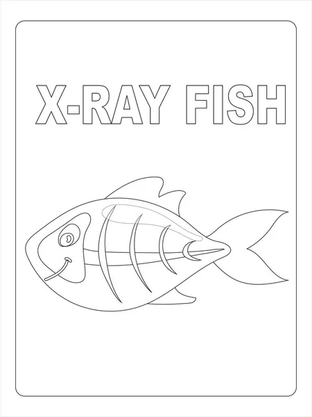 X ray fish coloring book vector images