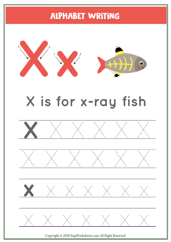 Letter x alphabet tracing worksheet with animal illustration