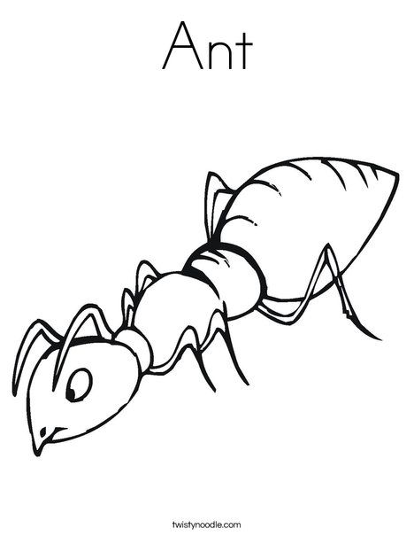 Ant coloring page insect coloring pages ants coloring pages to print