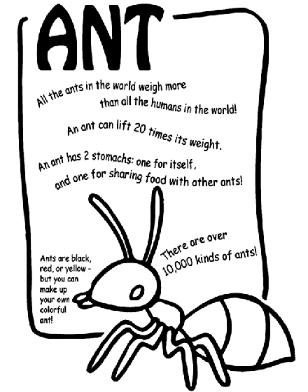 Ant coloring page