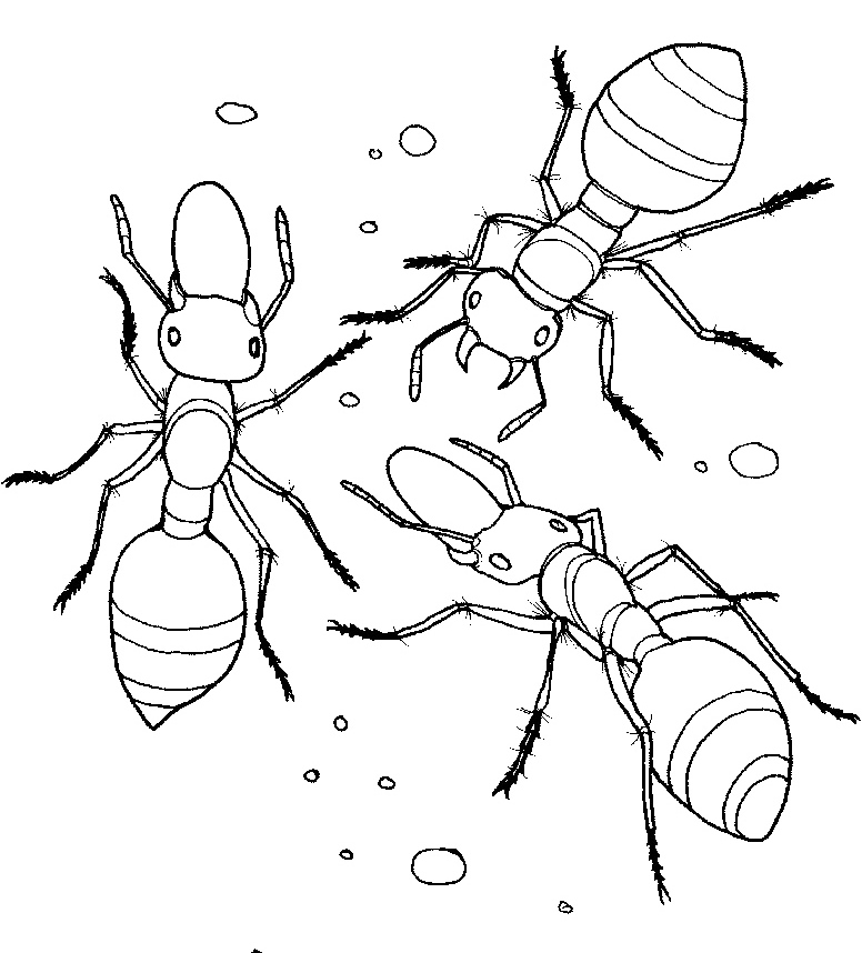 Coloring pages ant home coloring pages