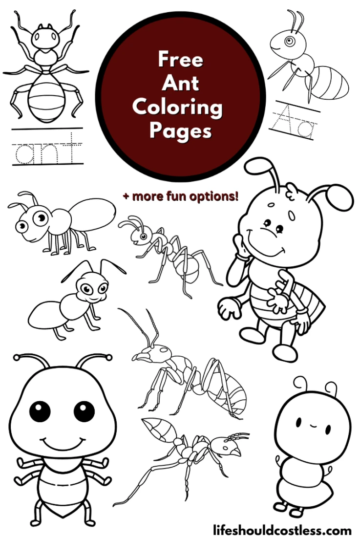 Ant coloring pages free printable pdf templates