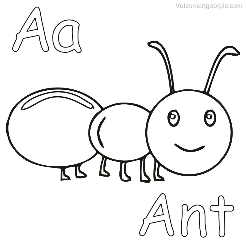 Prtable ant colorg pages pdf