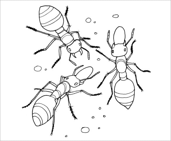 Ant s crafts colouring pages