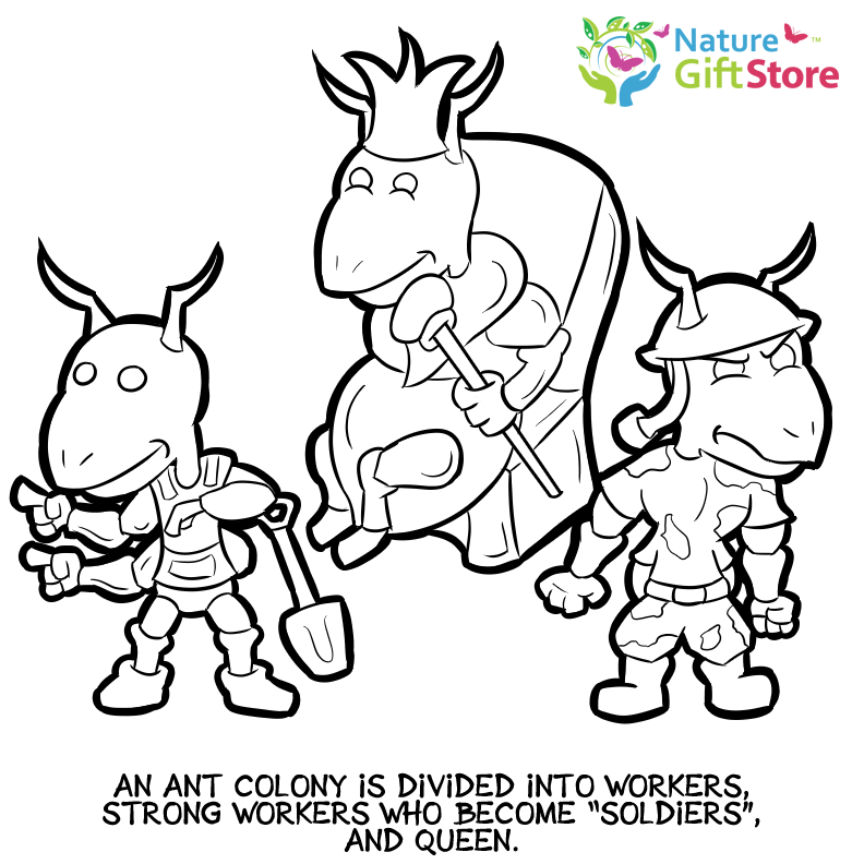 Printable coloring pages