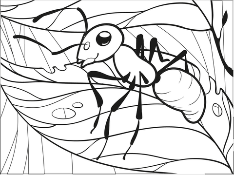 Ant coloring page free printable coloring pages