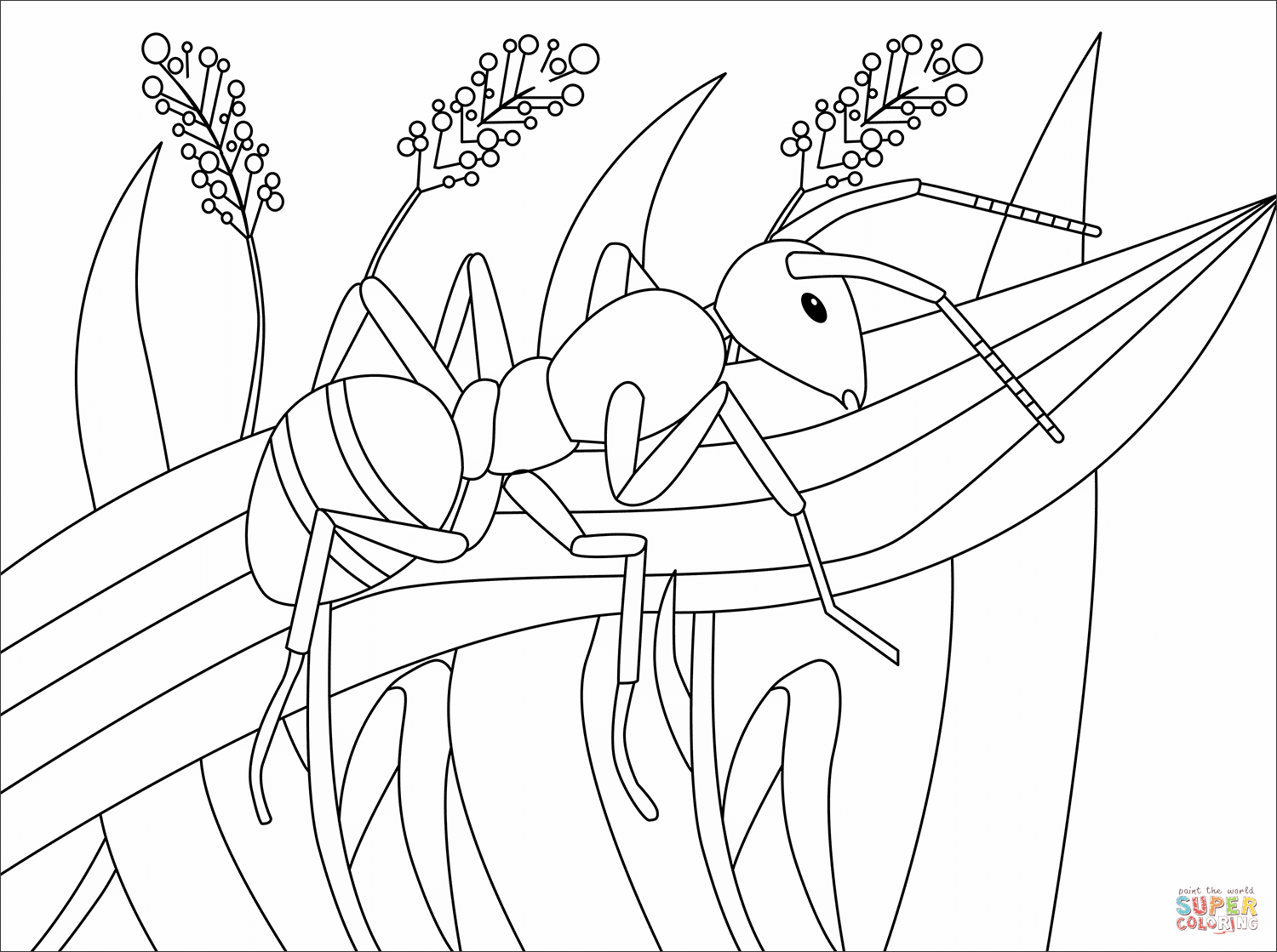 Ant coloring page free printable coloring pages