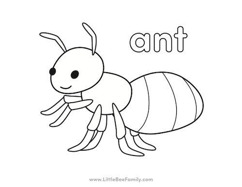 Ant coloring page