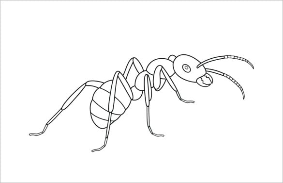 Ant s crafts colouring pages