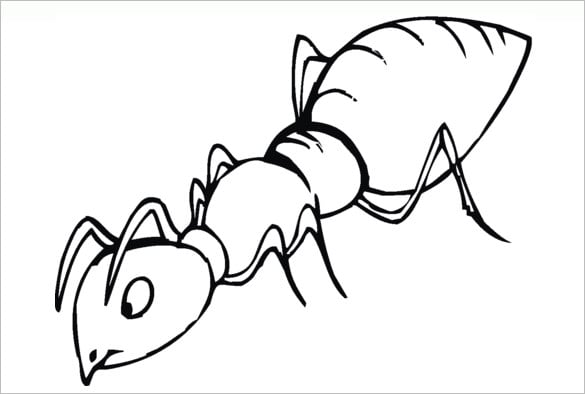 Ant s crafts colouring pages