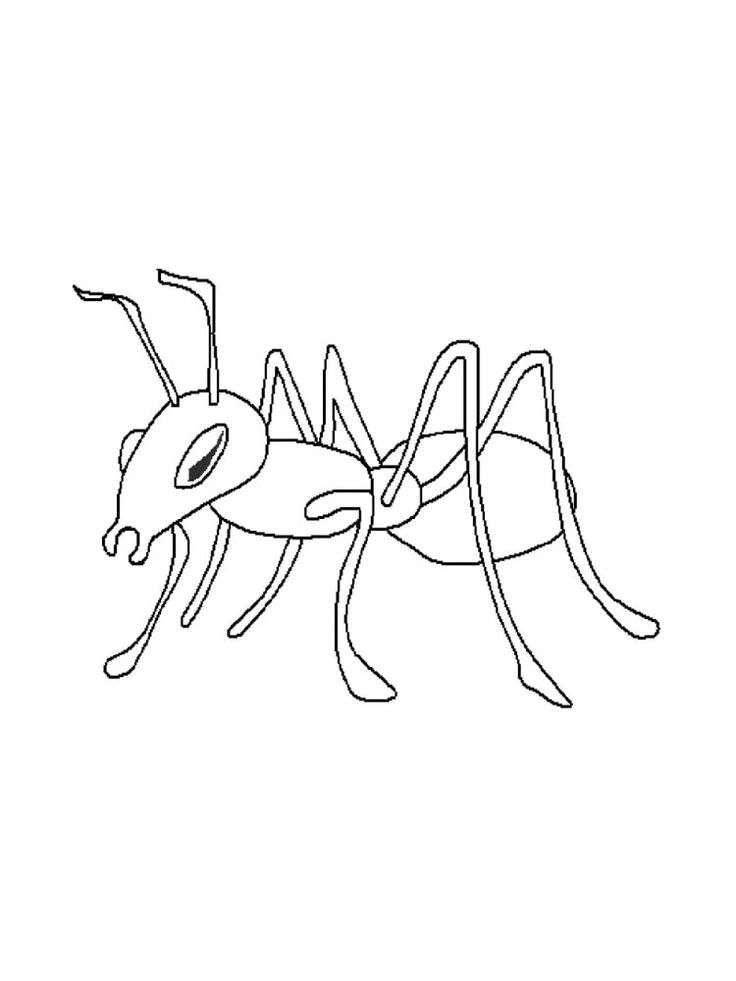 Ants coloring pages animal coloring pages coloring pages color