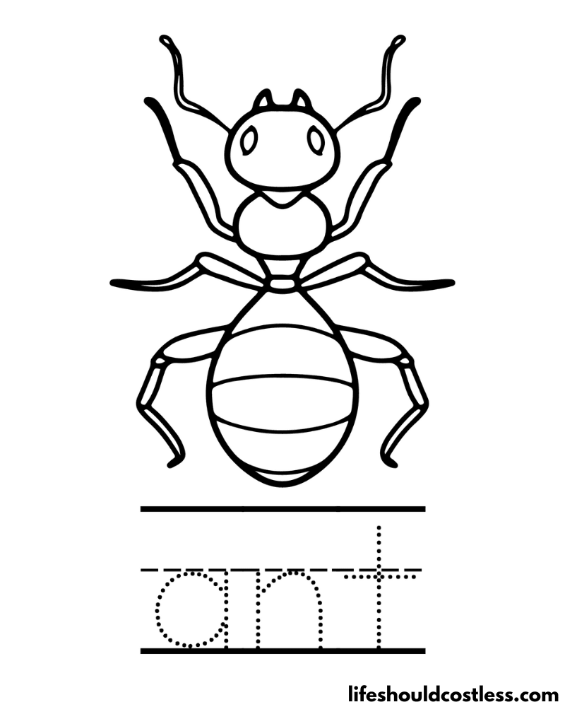 Ant coloring pages free printable pdf templates