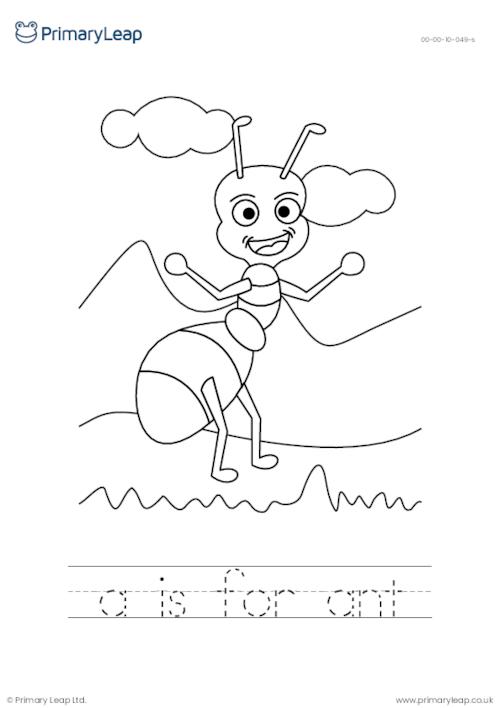 Art and craft lour the picture and trace the letters ant worksheet