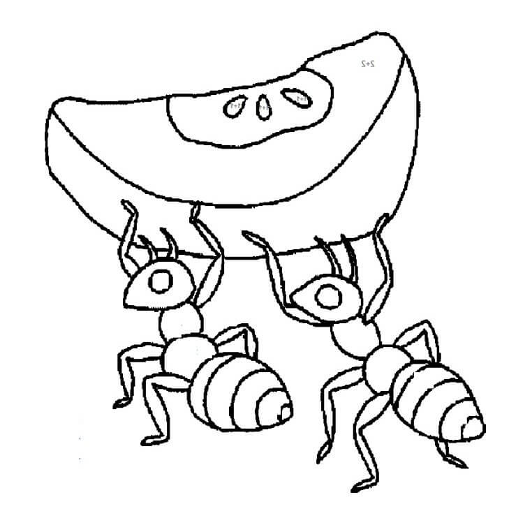 Two ants with fruit coloring page