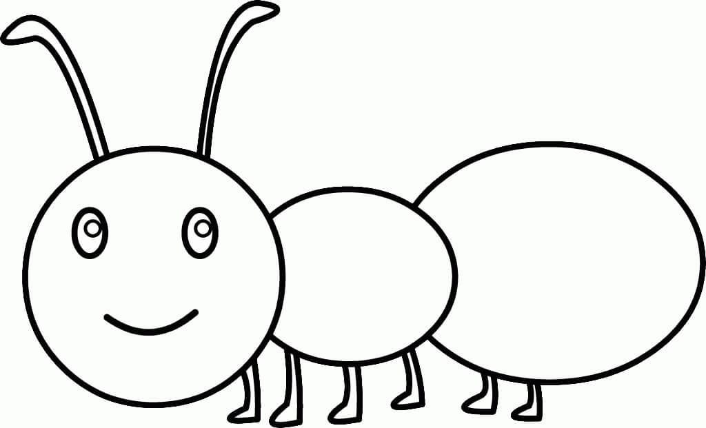 Basic ant coloring page