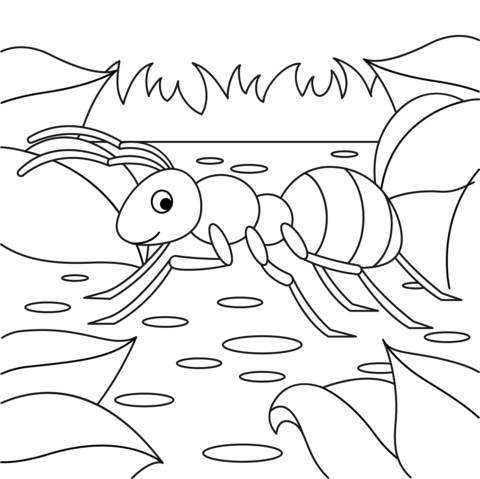 Cute ant coloring page free printable coloring pages