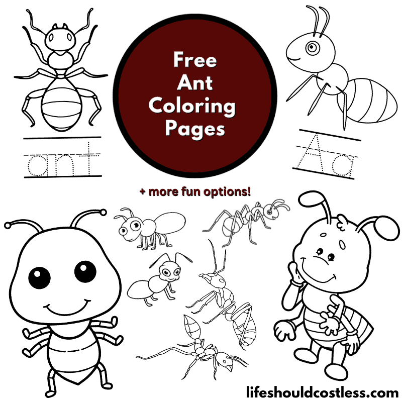 Ant coloring pages free printable pdf templates